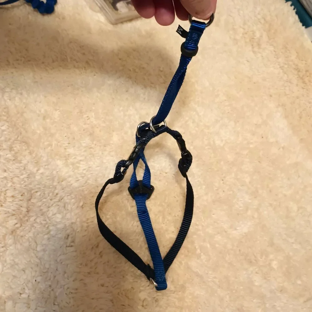 EUC~ PetSafe Come w/ Me Kitty Nylon Cat Harness & Bungee Leash + 1 Red Harness